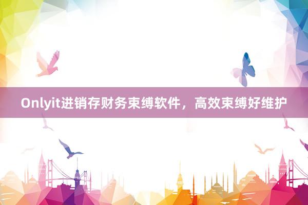 Onlyit进销存财务束缚软件，高效束缚好维护