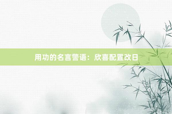 用功的名言警语：欣喜配置改日