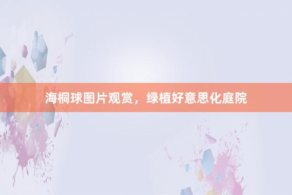 海桐球图片观赏，绿植好意思化庭院