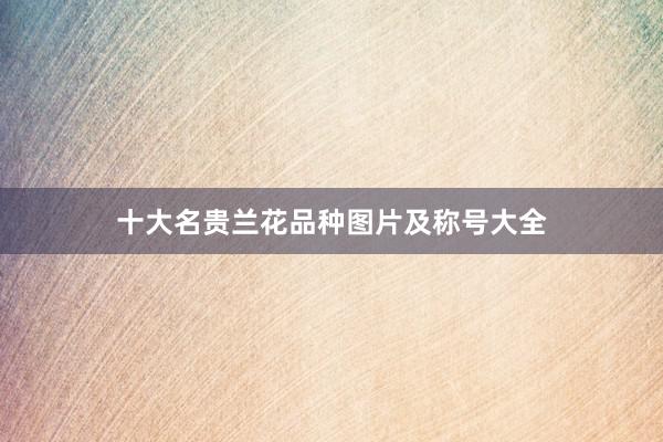 十大名贵兰花品种图片及称号大全
