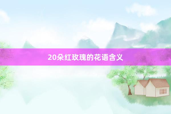 20朵红玫瑰的花语含义