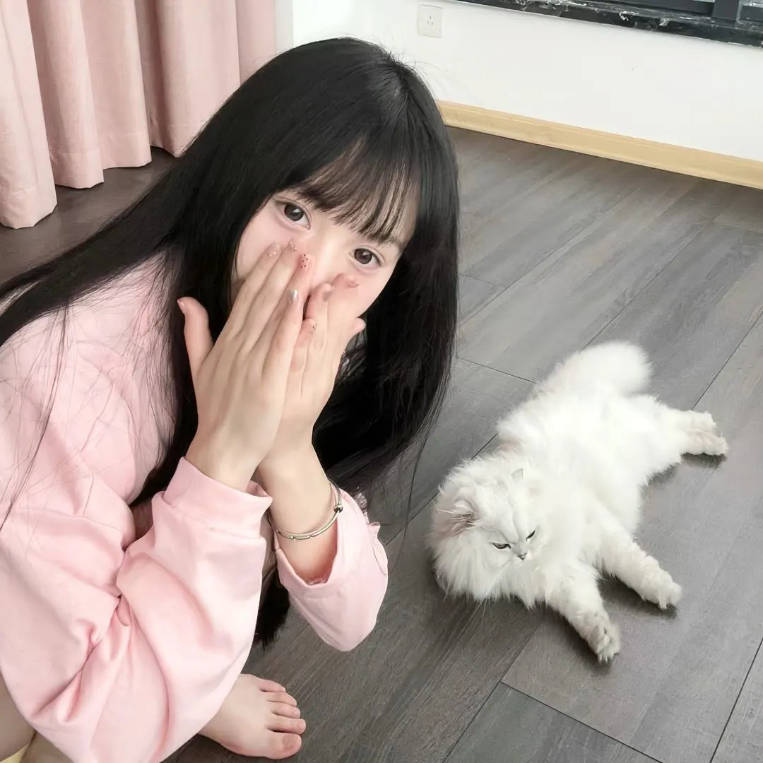 圆盘皇女 十二月夜想曲