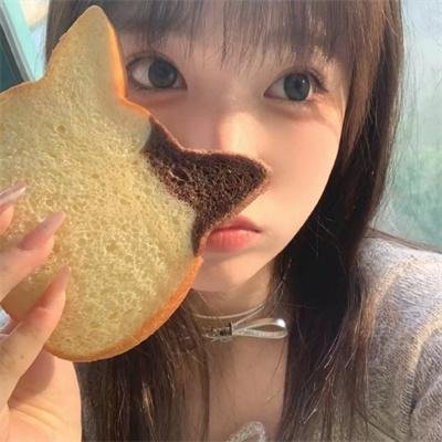 手机人生